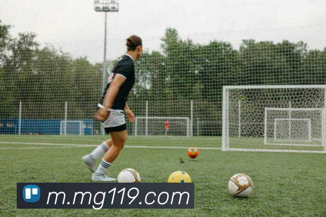 MG娱乐平台官网平台生态图